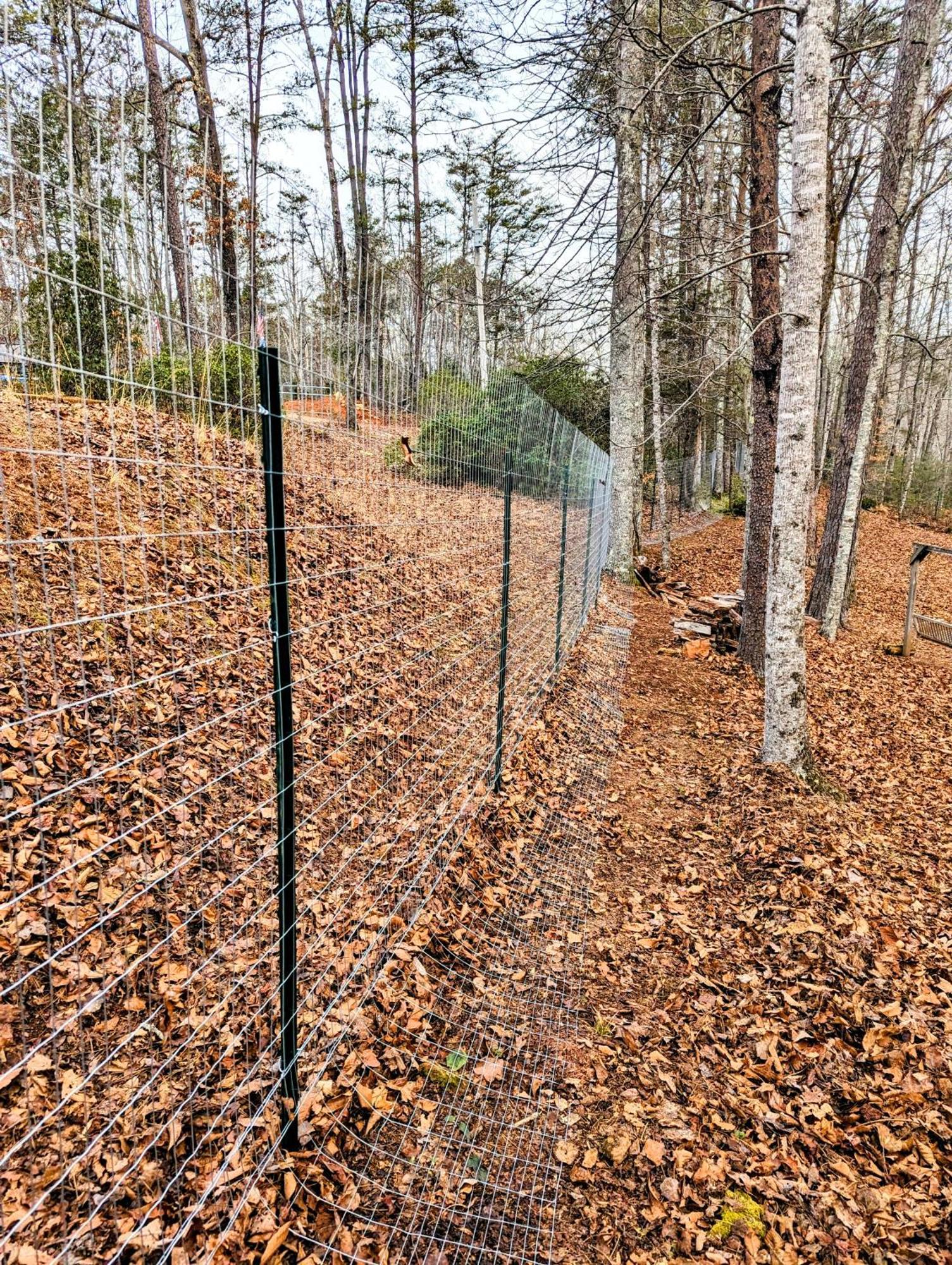 Hidden Hollow Bed And Breakfast Otto Exterior foto